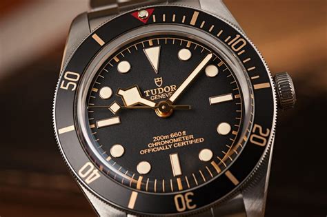 tudor divers watch.